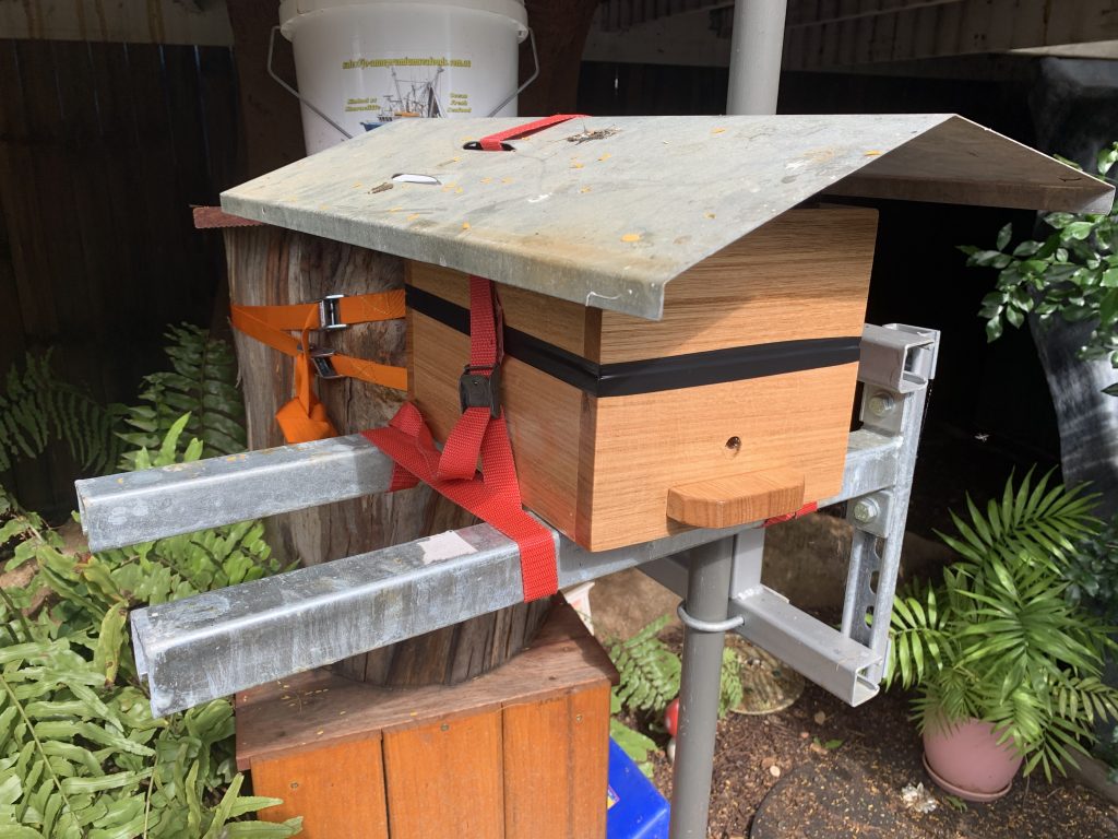 Brisbane Native Bee hive eduction duplication